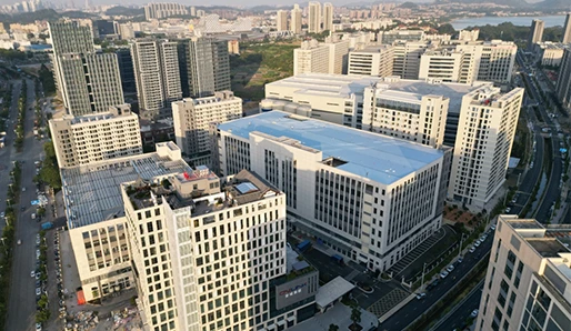 1996 Development History